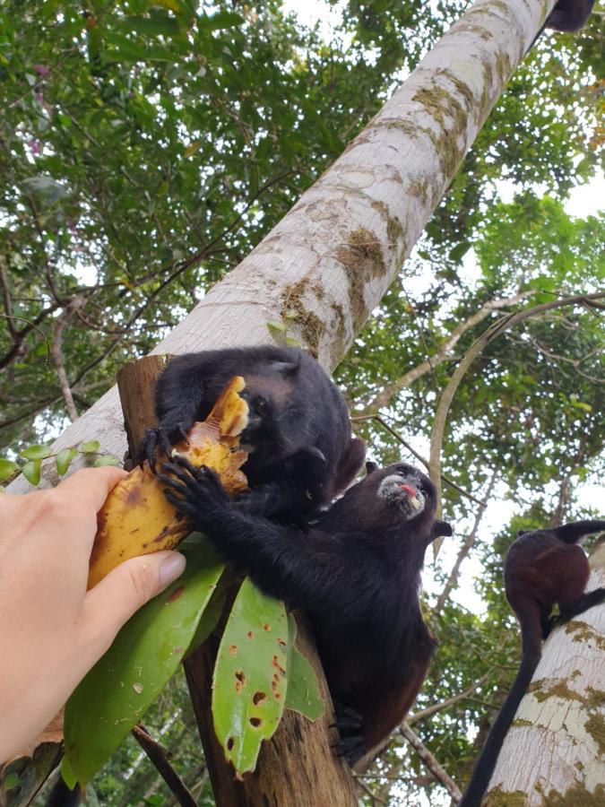 فيلا Reserva Natural Tucuchira Santa Sofía المظهر الخارجي الصورة