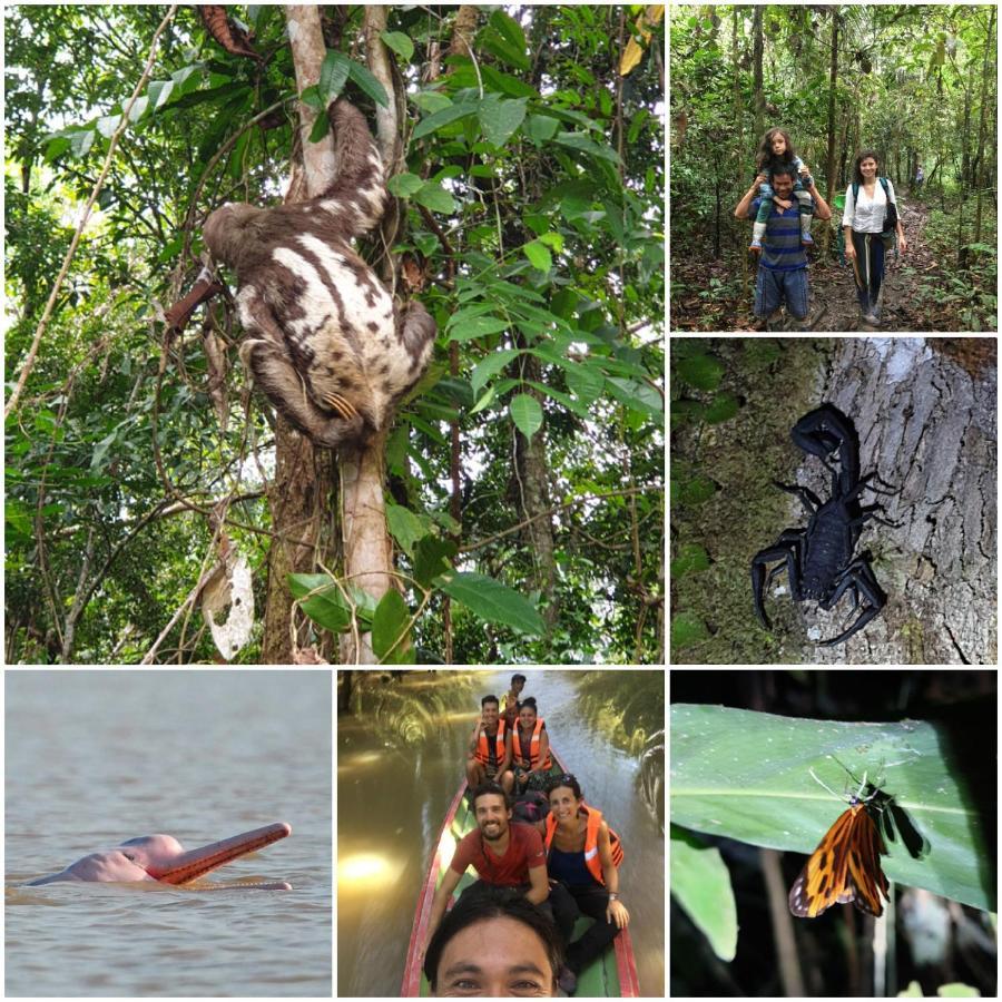 فيلا Reserva Natural Tucuchira Santa Sofía المظهر الخارجي الصورة