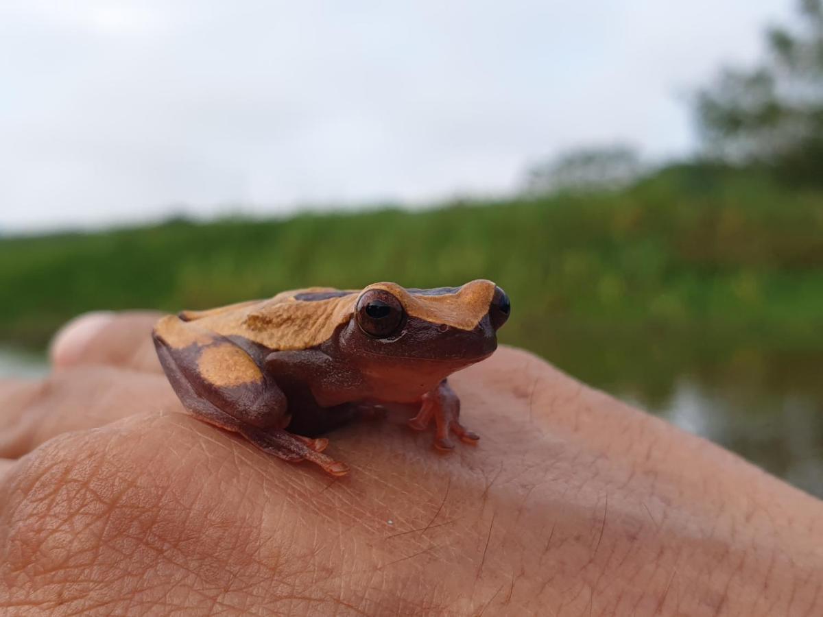 فيلا Reserva Natural Tucuchira Santa Sofía المظهر الخارجي الصورة