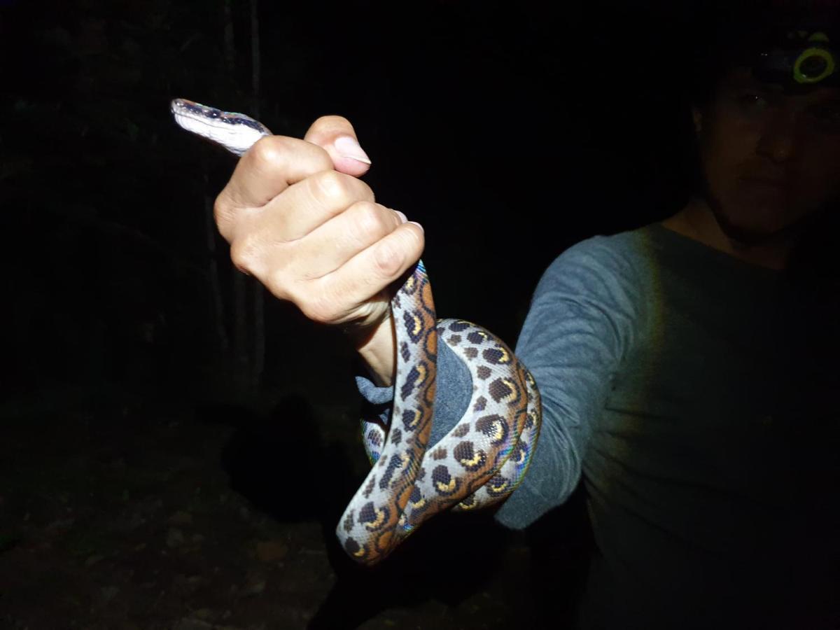 فيلا Reserva Natural Tucuchira Santa Sofía المظهر الخارجي الصورة