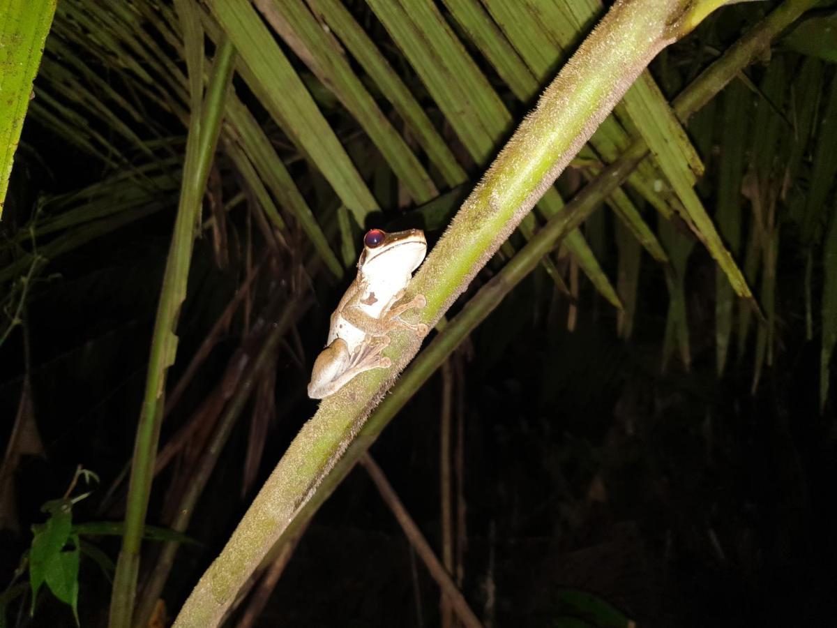 فيلا Reserva Natural Tucuchira Santa Sofía المظهر الخارجي الصورة