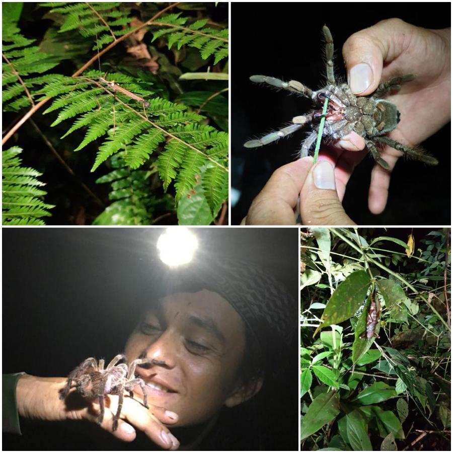 فيلا Reserva Natural Tucuchira Santa Sofía المظهر الخارجي الصورة
