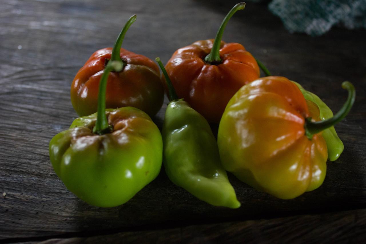 فيلا Reserva Natural Tucuchira Santa Sofía المظهر الخارجي الصورة