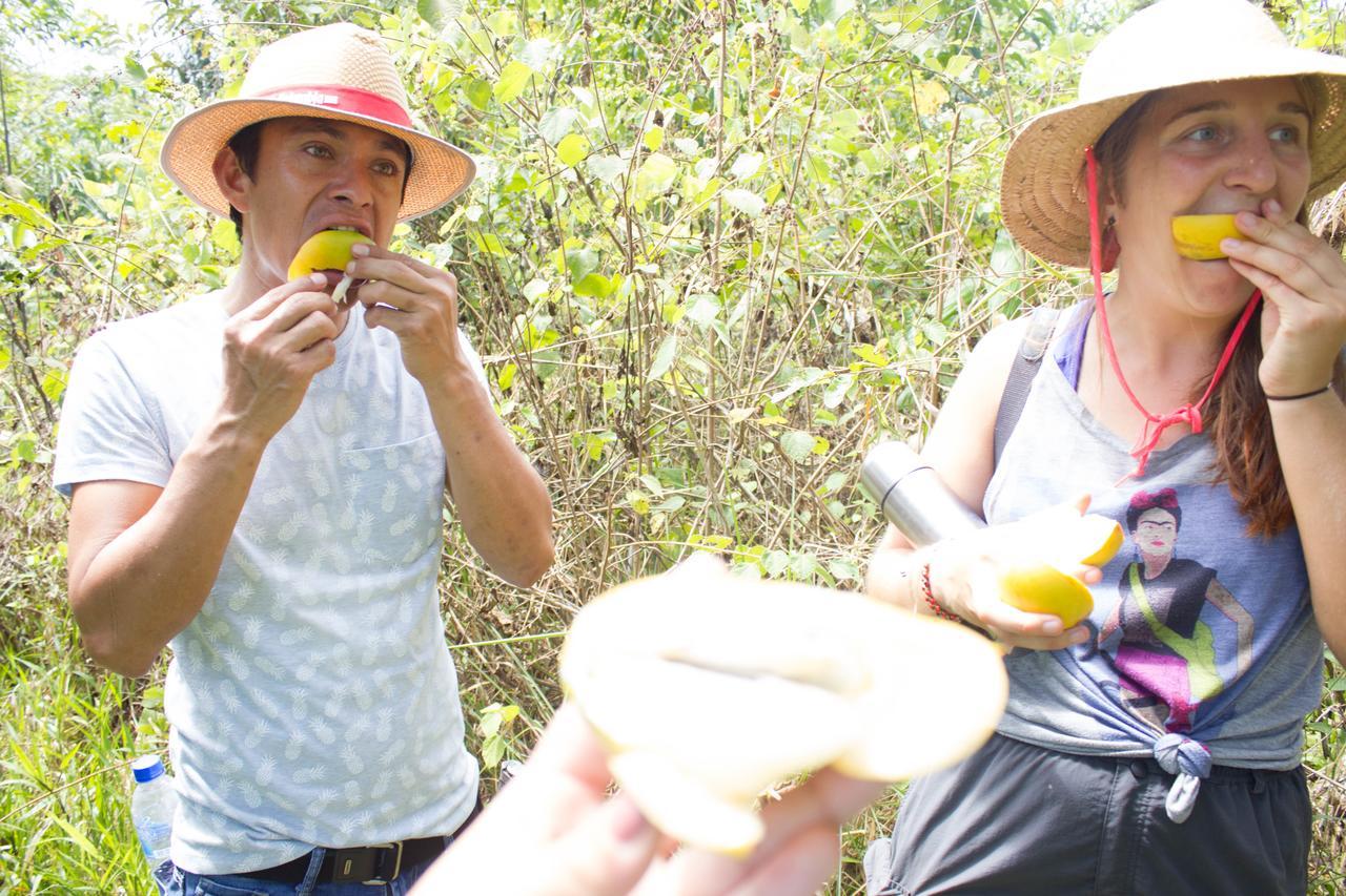 فيلا Reserva Natural Tucuchira Santa Sofía المظهر الخارجي الصورة